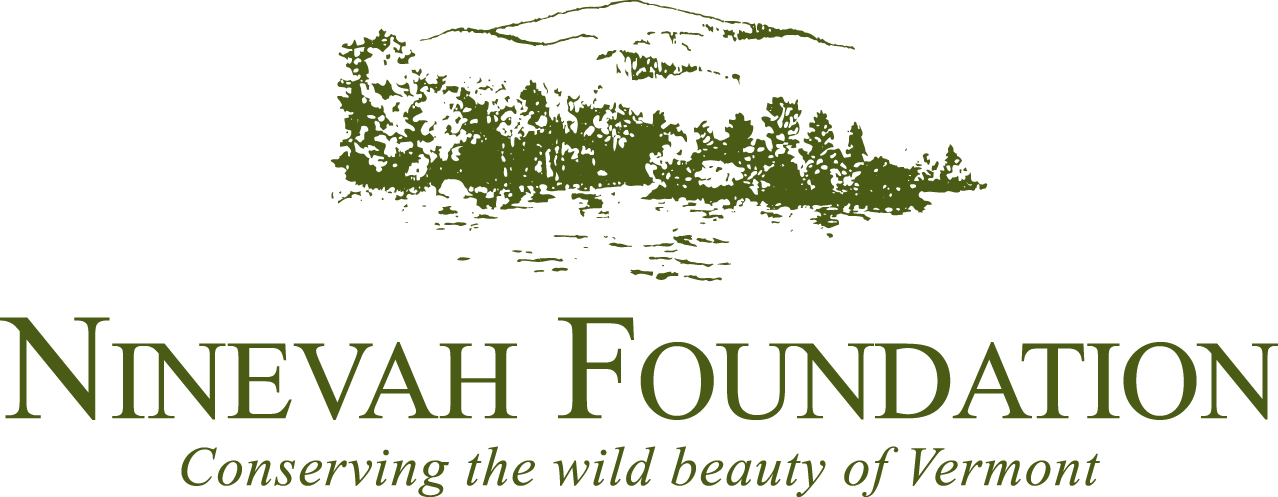 Ninevah Foundation